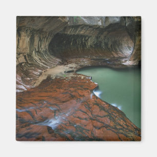 Linkerzijtak   Zion National Park, Utah Magneet