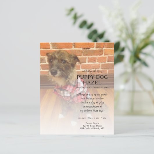 links foto-memorial (Staand voorkant)