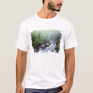 Linn Cove Creek die door de mist loopt T-shirt