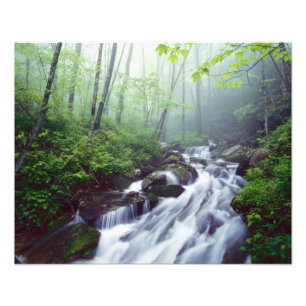 Linn Cove Creek stroomt door nevelige Foto Afdruk