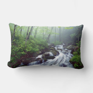 Linn Cove Creek stroomt door nevelige Kussen