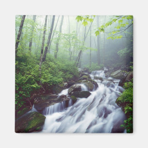 Linn Cove Creek stroomt door nevelige Magneet