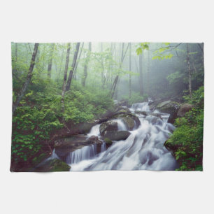 Linn Cove Creek stroomt door nevelige Theedoek