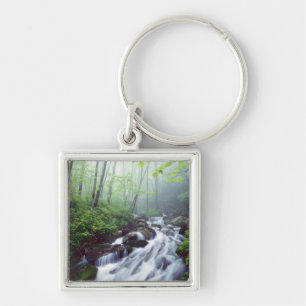 Linn Cove Creek waterval door nevelige Sleutelhanger