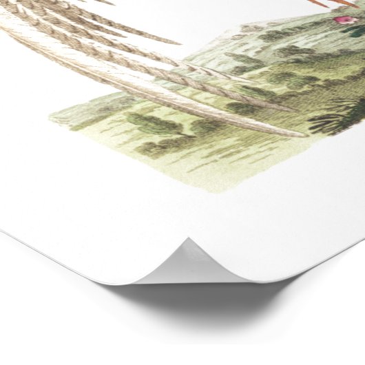 Linnaeus Birds - Chinese fazanten Poster (Hoek)