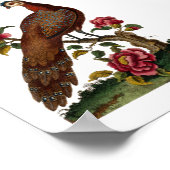 Linnaeus Birds - Chinese Peacock Pheasant Poster (Hoek)