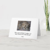 Linnea Cat quote card Feestdagen Kaart (Achterkant)
