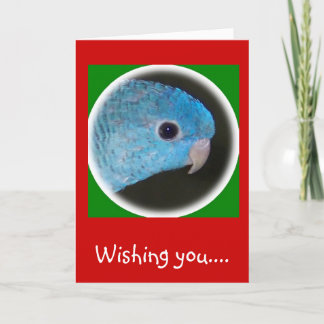 linnie paraket kerstkaart prettige feestdagen kaart