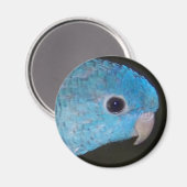 Linnie parkiet Magnet (Voorkant / Achterkant)