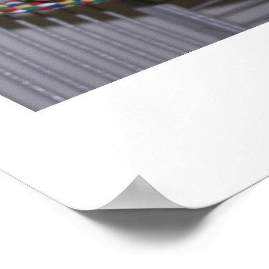 Linnies Perch Poster (Hoek)