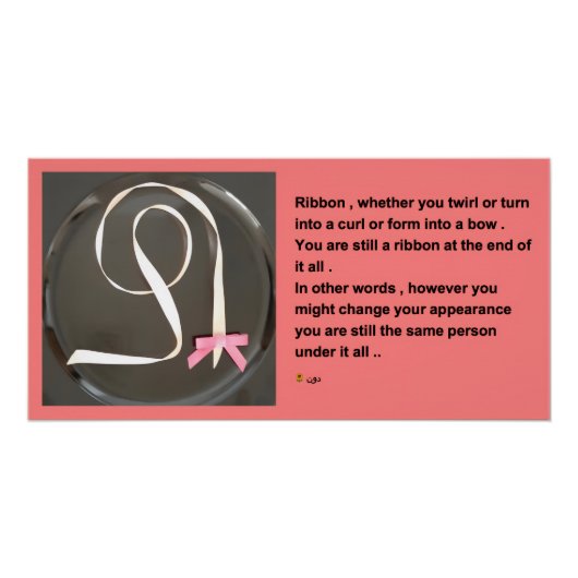 LINT PERFECT POSTER (Voorkant)
