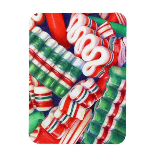 LINT SNOEP 3x4 Flexible Magnet Magneet (Verticaal)