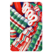 LINT SNOEP 4x6 Flexible Magnet Magneet (Verticaal)