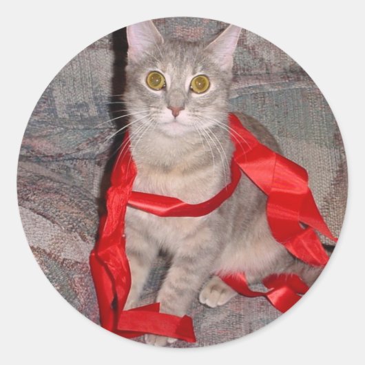 Lintjes Ronde Sticker (Voorkant)