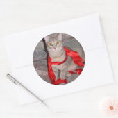 Lintjes Ronde Sticker (Envelop)