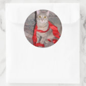 Lintjes Ronde Sticker (Tas)