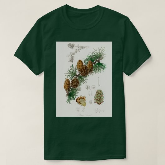 Linus larix afbeelding uit Medical Botany 1836 T-shirt (Design voorkant)