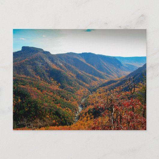 Linville Gorge in Autumn, North Carolina Briefkaart (Voorkant)