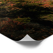 Linville Gorge in Autumn, North Carolina Poster (Hoek)