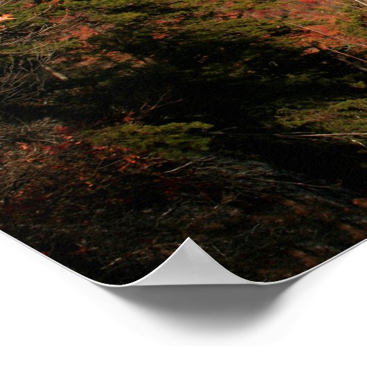 Linville Gorge in Autumn, North Carolina Poster (Hoek)