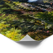 Linville Herfsten Poster (Hoek)