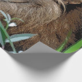 Lion20150805 Cadeaupapier (Hoek)