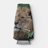 Lion20150805 Flesjeskoeler (Voorkant)