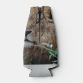 Lion20150805 Flesjeskoeler (Achterkant)