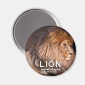 Lion マ グ ッ ト magneet (Voorkant / Achterkant)