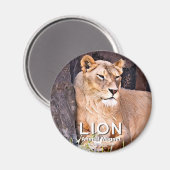 Lion マ グ ッ ト magneet (Voorkant / Achterkant)