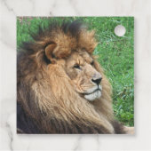Lion 001 bedankjes labels (Achterkant)