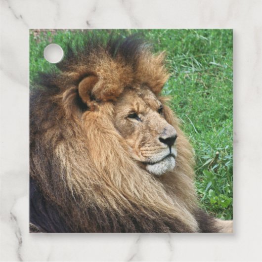 Lion 001 bedankjes labels (Voorkant)