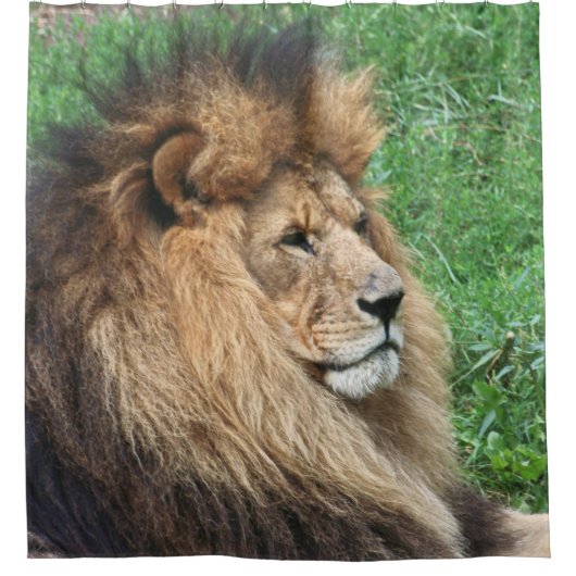 Lion 001 douchegordijn (Voorkant)