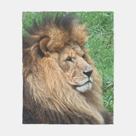 Lion 001 fleece deken (Voorkant)