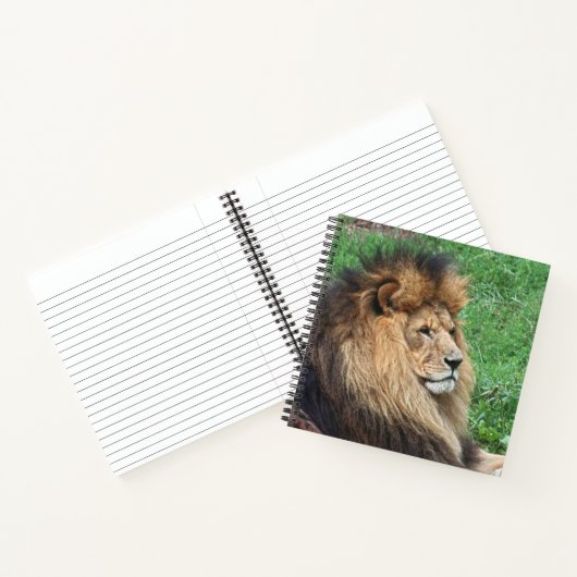 Lion 001 notitieboek (Binnen)