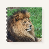 Lion 001 notitieboek (Voorkant)
