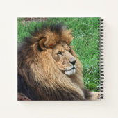 Lion 001 notitieboek (Achterkant)