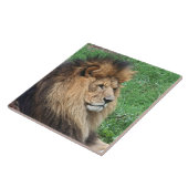 Lion 001 tegeltje (Zijkant)