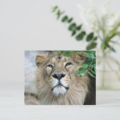 Lion 002 briefkaart (Staand voorkant)