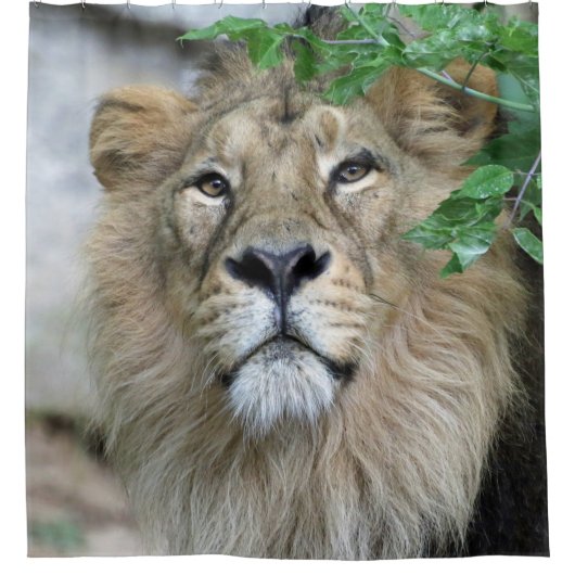 Lion 002 douchegordijn (Voorkant)