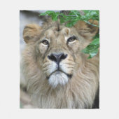 Lion 002 fleece deken (Voorkant)