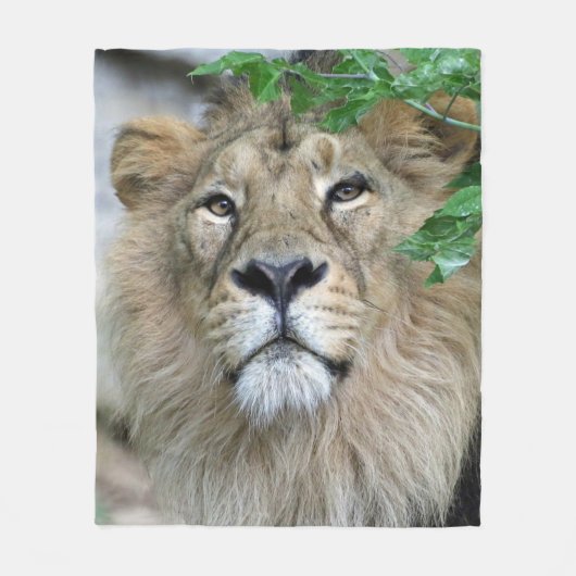 Lion 002 fleece deken (Voorkant)