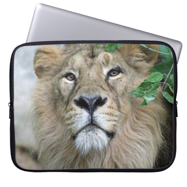 Lion 002 laptop sleeve (Voorkant)