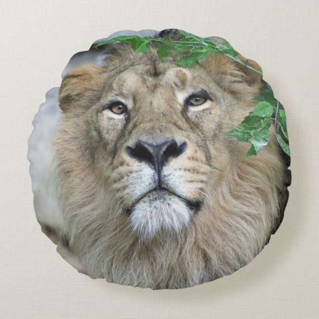 Lion 002 rond kussen (Voorkant)