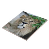 Lion 002 tegeltje (Zijkant)