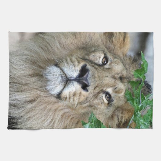 Lion 002 theedoek (Horizontaal)