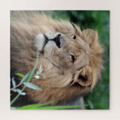 Lion 003 van JAMFoto Legpuzzel (Horizontaal)