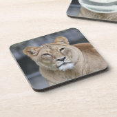 Lion 004 bier onderzetter (Linkerzijde)