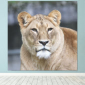 Lion 004 canvas afdruk (Insitu (Houten vloer))