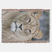 Lion 004 deken (Voorkant)